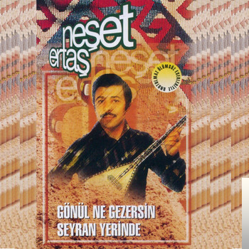دانلود آلبوم Gönül Ne Gezersin Seyran Yerinde (1988) از Neşet Ertaş