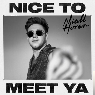 دانلود آلبوم Nice To Meet Ya (2019) از Niall Horan