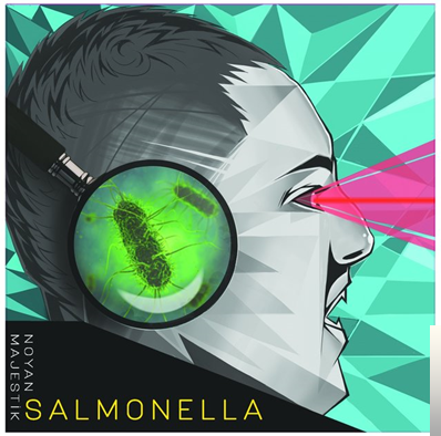 دانلود آلبوم Salmonella (2019) از Noyan Majestik