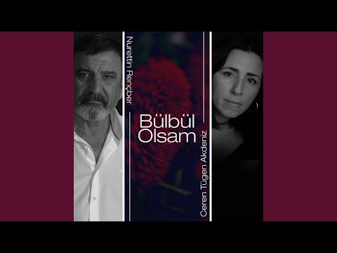 دانلود آلبوم Bülbül Olsam (2025) از Nurettin Rençber