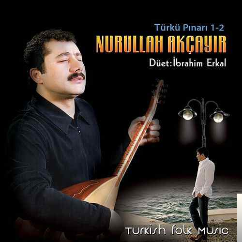 دانلود آلبوم Türkü Pınarı 1,2 (2001) از Nurullah Akçayır