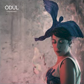 دانلود آلبوم Düşünecektin (2024) از Ödül