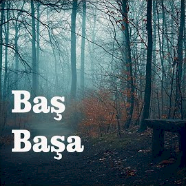 دانلود آلبوم Baş Başa (2024) از Ömer Arslan