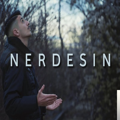 دانلود آلبوم Nerdesin (2020) از Sadri