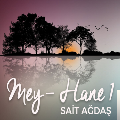 دانلود آلبوم Mey-Hane Şarkıları Vol. 1 (2019) از Sait Ağdaş