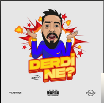 دانلود آلبوم Derdi Ne (2019) از Sefo