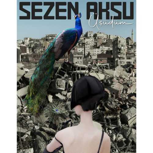 دانلود آلبوم Üşüdüm (2024) از Sezen Aksu