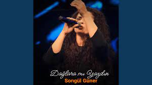 دانلود آلبوم Hayli Zaman Oldu (2024) از Songül Güner