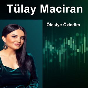 دانلود آلبوم Ölesiye Özledim (2024) از Tülay Maciran