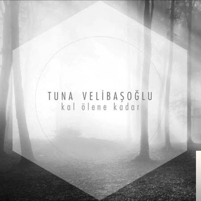 دانلود آلبوم Kal Ölene Kadar (2015) از Tuna Velibaşoğlu