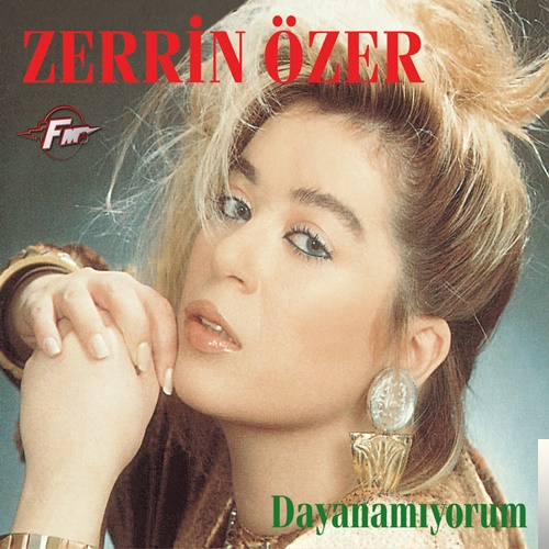 دانلود آلبوم Dayanamıyorum (1987) از Zerrin Özer