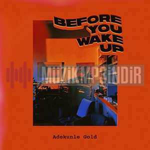 دانلود آلبوم Before You Wake Up (2019) از Adekunle Gold
