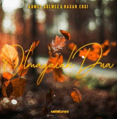 دانلود آلبوم Olmayacak Dua (2021) از Ahmet Gülmez