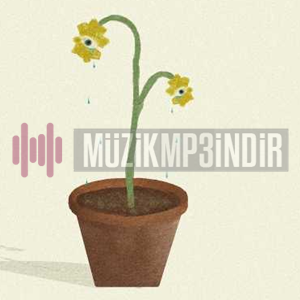 دانلود آلبوم Gururum Ayaklar Altında (2024) از Ahmet Hatipoğlu