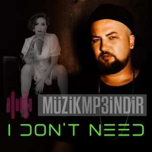 دانلود آلبوم I Don't Need (2022) از Ahmet Özhan Güven