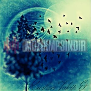 دانلود آلبوم Kuşları Takip Et (2023) از Akasya