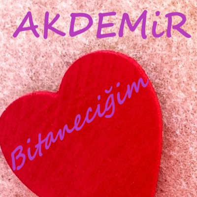دانلود آلبوم Bitaneciğim (2019) از Akdemir