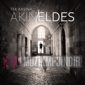 دانلود آلبوم Tek Başına (2018) از Akın Eldes