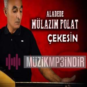 دانلود آلبوم Çekesin (2022) از Aladede Mülazım Polat