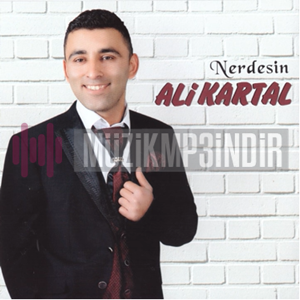 دانلود آلبوم Nerdesin (2018) از Ali Kartal