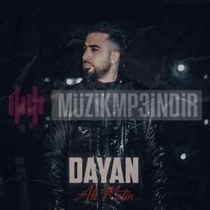 دانلود آلبوم Dayan (2024) از Ali Metin