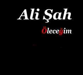 دانلود آلبوم Öleceğim (2022) از Ali Şah