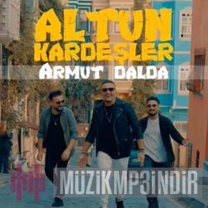 دانلود آلبوم Armut Dalda (2022) از Altun Kardeşler