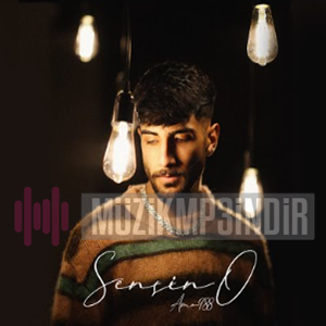 دانلود آلبوم Sensin O (2024) از Amo988