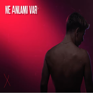 دانلود آلبوم Ne Anlamı Var (2020) از Anıl Emre Daldal