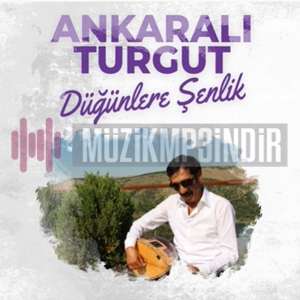 دانلود آلبوم Düğünlere Şenlik (2022) از Ankaralı Turgut