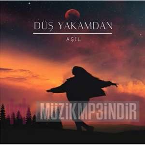 دانلود آلبوم Düş Yakamdan (2022) از Aşıl