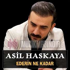 دانلود آلبوم Ederin Ne Kadar (2022) از Asil Haskaya