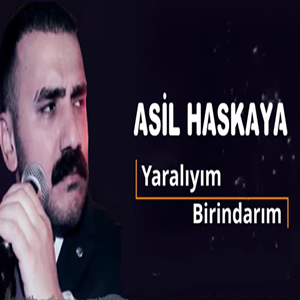دانلود آلبوم Yaralıyım Birindarım (2020) از Asil Haskaya