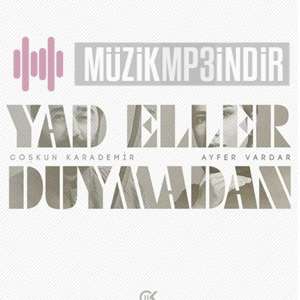دانلود آلبوم Yad Eller Duymadan (2022) از Ayfer Vardar