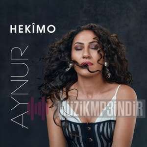 دانلود آلبوم Hekimo (2024) از Aynur Doğan