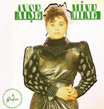 دانلود آلبوم Söyleyemem Derdimi (1988) از Ayşe Mine