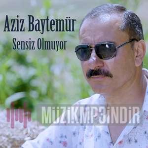 دانلود آلبوم Sensiz Olmuyor (2023) از Aziz Baytemür