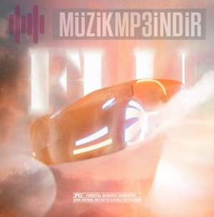 دانلود آلبوم FLU (2022) از Baneva