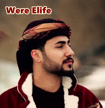دانلود آلبوم Were Elife (2020) از Baran Bari