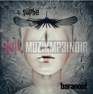 دانلود آلبوم Şüphe (2023) از Baranoid