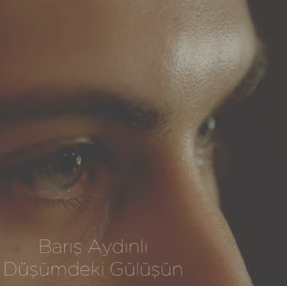 دانلود آلبوم Düşümdeki Gülüşün (2020) از Barış Aydınlı