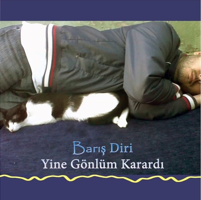 دانلود آلبوم Yine Gönlüm Karardı (2016) از Barış Diri