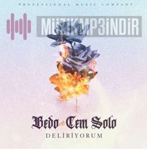 دانلود آلبوم Deliriyorum (2022) از Bedo