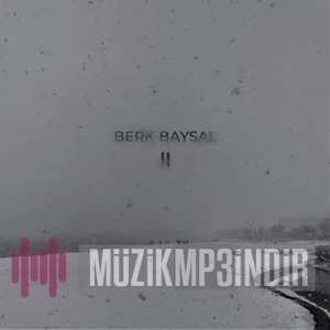 دانلود آلبوم II (2022) از Berk Baysal