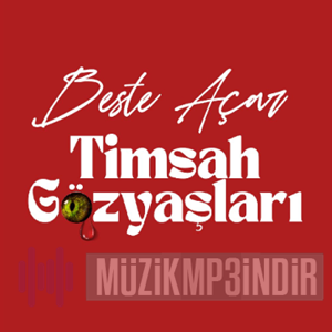 دانلود آلبوم Timsah Gözyaşları (2023) از Beste Açar