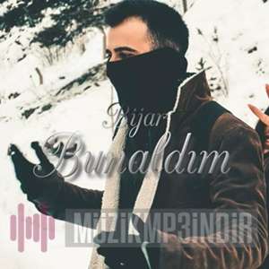 دانلود آلبوم Bunaldım (2022) از Bijar