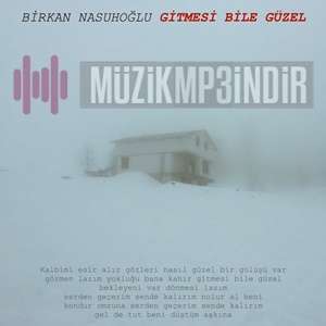 دانلود آلبوم Gitmesi Bile Güzel (2024) از Birkan Nasuhoğlu