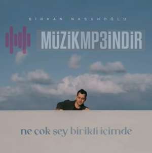دانلود آلبوم Ne Çok Şey Birikti İçimde (2022) از Birkan Nasuhoğlu