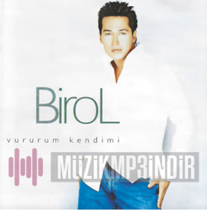 دانلود آلبوم Vururum Kendimi (2001) از Birol