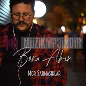دانلود آلبوم Mor Sarmaşıklar (2022) از Bora Akın